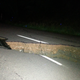 A large fissure runs along Kaikoura Road about two hours north of Christchurch. Photo: AP
